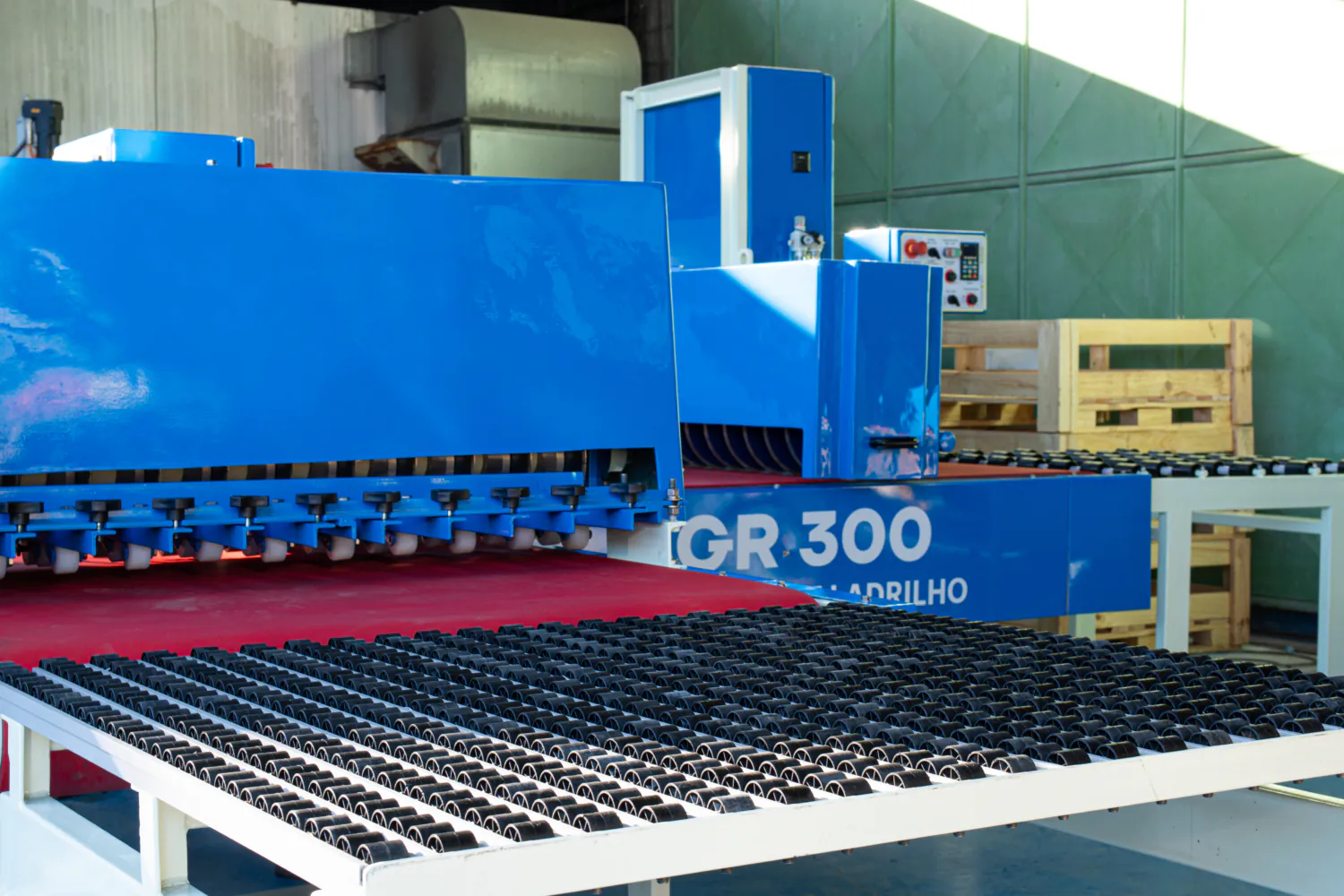 agr 300 (8)