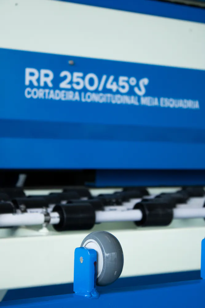 rr-250-acoart (3)